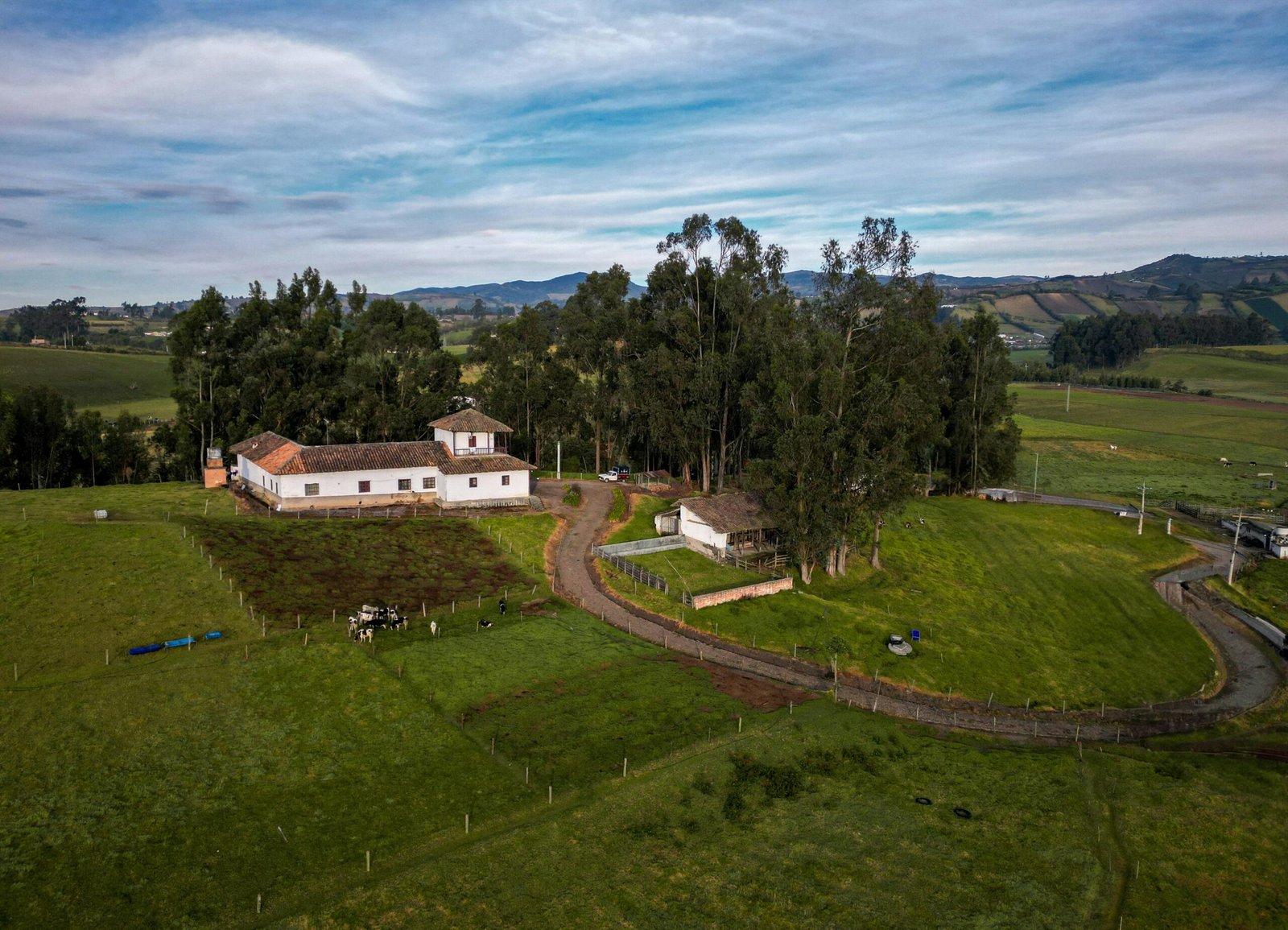 pexels-israel-otavalo-815772375-32322480